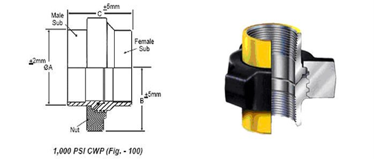 Hammer Union Fig. 100 Npt Female Thread